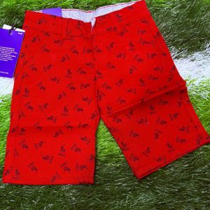 Polo Shorts 1